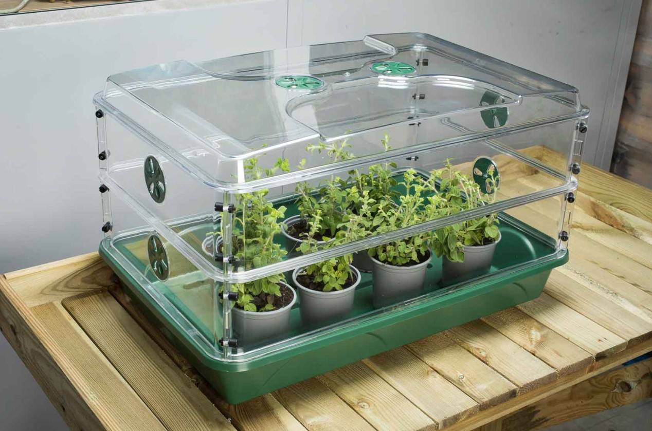 Big propagator